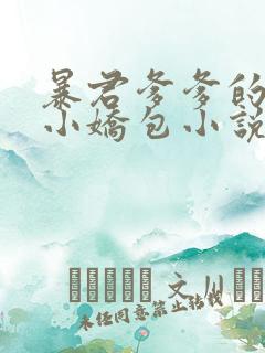 暴君爹爹的团宠小娇包小说全文阅读