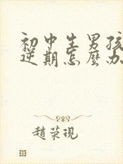 初中生男孩子叛逆期怎么办