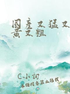 国产又猛又爽又黄又粗
