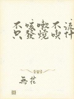 不咳嗽不流鼻涕只发烧吃什么药