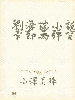 刘海瑞小说最新章节无弹窗阅读