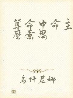 算命中命主是什么意思