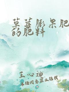 草莓膨果肥最好的肥料