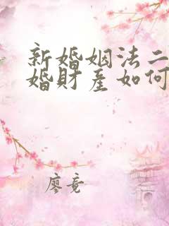 新婚姻法二婚离婚财产如何分割
