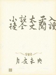 小说太子入戏之后全文阅读