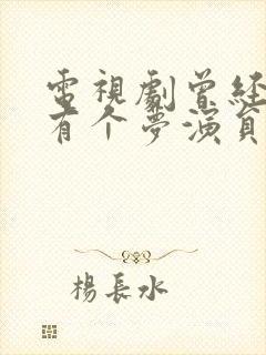 电视剧曾经与你有个梦演员表