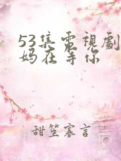 53集电视剧妈妈在等你