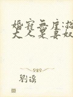 婚宠无度:总裁大人是妻奴全文免费阅读