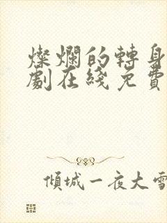 灿烂的转身电视剧在线免费观看