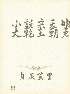 小说宋天明穿越大乾王朝免费阅读