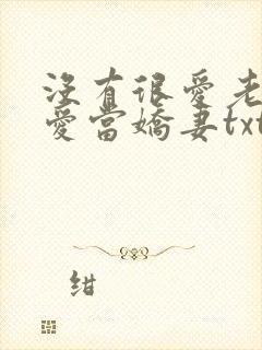 没有很爱老公但爱当娇妻txt