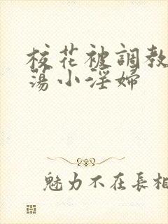 校花被调教成放荡小淫妇