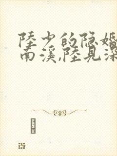 陆少的隐婚罪妻南溪,陆见深