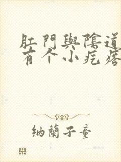 肛门与阴道中间有个小疙瘩