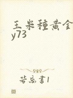 玉米种黄金粮my73