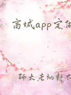 商城app定做
