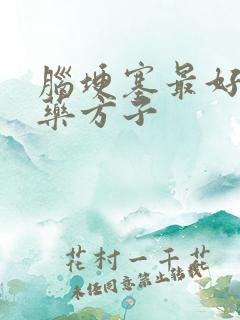 脑埂塞最好的中药方子