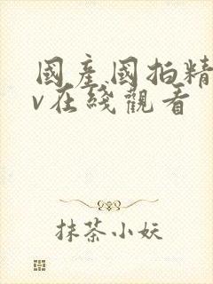 国产国拍精品av在线观看