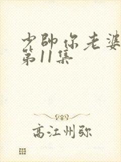 少帅你老婆又跑第11集