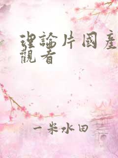 理论片国产在线观看