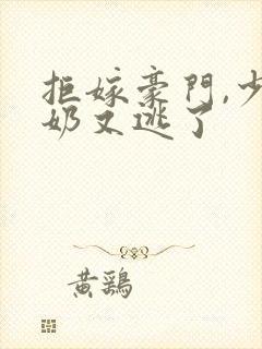 拒嫁豪门,少奶奶又逃了