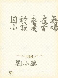 囚于永夜无删减小说麦香鸡
