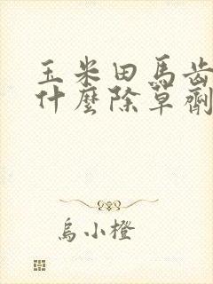 玉米田马齿苋用什么除草剂好