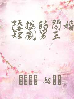 陆总的闪婚甜妻短剧男主