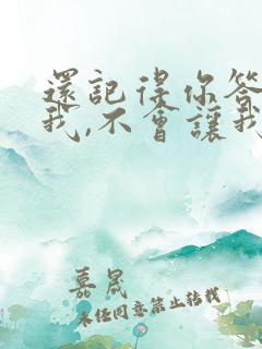 还记得你答应过我,不会让我把你找不见歌词