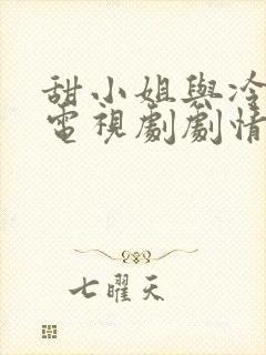甜小姐与冷先生电视剧剧情