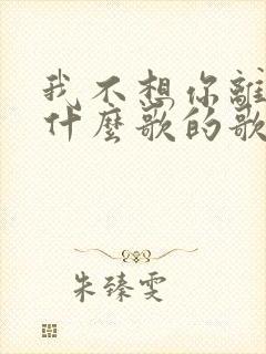 我不想你离开是什么歌的歌词