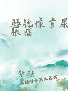 膀胱像有尿一样胀痛