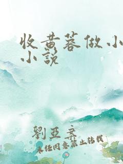 收黄蓉做小妾的小说