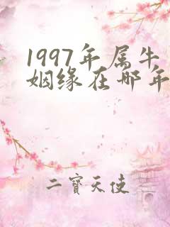 1997年属牛姻缘在哪年结婚