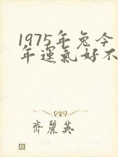 1975年兔今年运气好不好