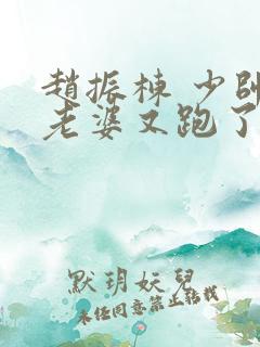 赵振栋 少帅你老婆又跑了