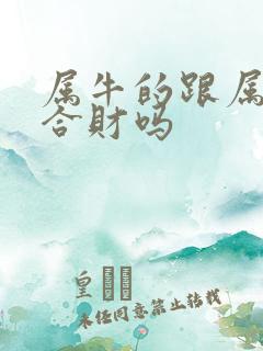 属牛的跟属蛇的合财吗
