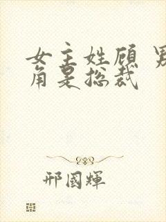 女主姓顾 男主角是总裁