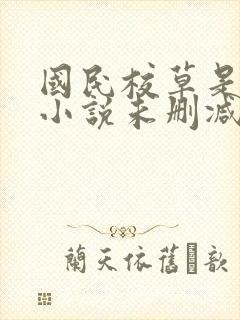 国民校草是女生小说未删减版