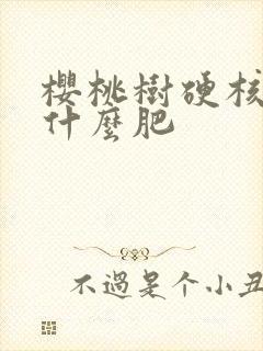 樱桃树硬核期施什么肥