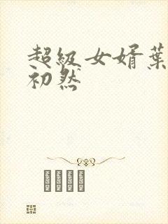 超级女婿叶辰萧初然