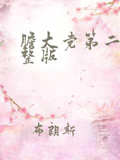胆大党第二季完整版