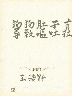狗狗肚子有虫子导致呕吐拉稀怎么办