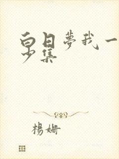 白日梦我一共多少集