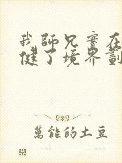 我师兄实在太稳健了境界划分介绍
