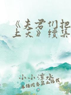 《夫君们把我宠上天》续集