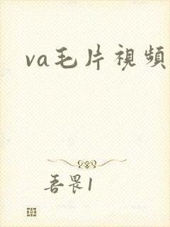 va毛片视频