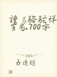 读《骆驼祥子》有感700字