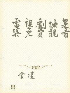 电视剧他是谁全集免费观看