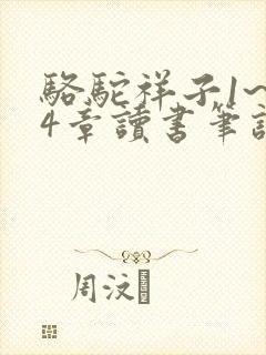 骆驼祥子1~24章读书笔记